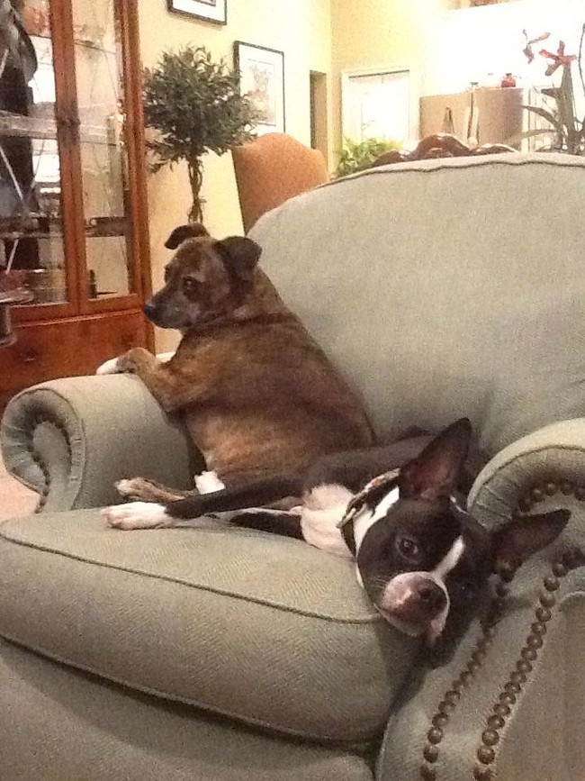 "It's two minutes past dinner time. I'm wasting away." "I can't even look at you right now."