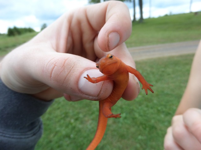 "Talk to my tiny hand, human."