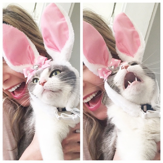 "I am not your DOLLY."