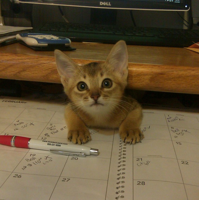 "Um, I might be stuck."