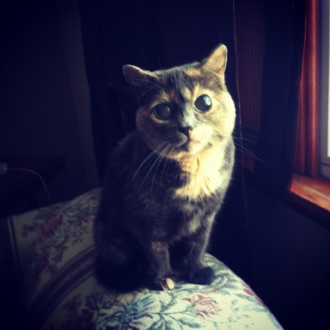 You can see the whole universe in these gorgeous eyes.