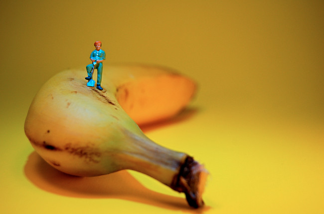 Because bananas are high in vitamin B, they help promote white blood cell production, protect against the development of diabetes, and can even aid in weight loss.