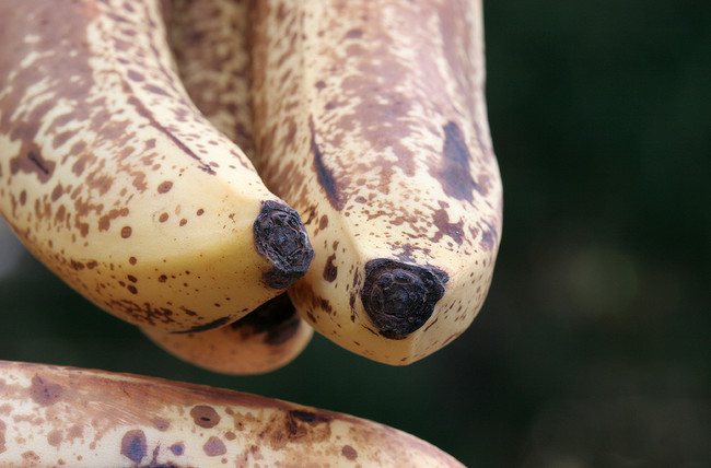 Bananas have been known to protect against kidney disease, macular degeneration, and brittle bones. 