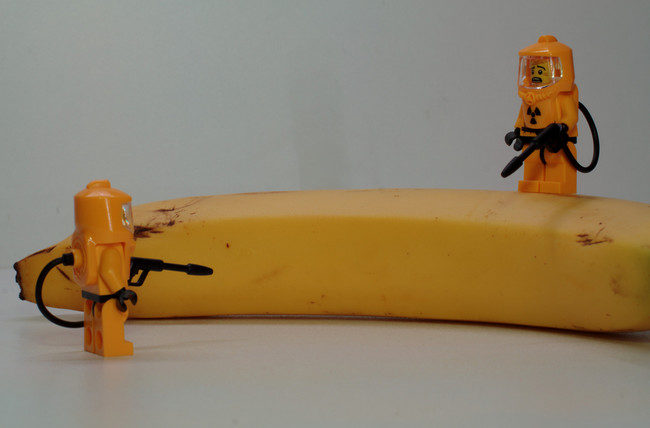 Rubbing bug bites, hives, and other rashes with the inside of a banana peel will help soothe that terrible itchiness.