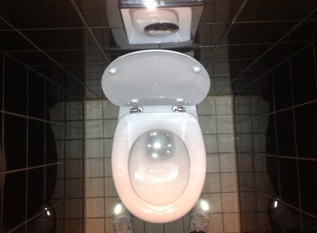 Alfred Hitchcock's Psycho was the first film ever to show a toilet flushing.