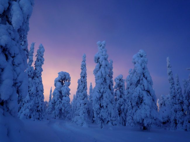 Winter temperatures can cause cardiovascular problems. The pressure of having to keep your body warm in the winter puts a strain on your heart.