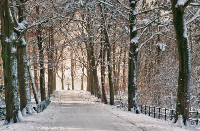 If you are an asthma sufferer, your symptoms can worsen in the winter because of how dry the air is.
