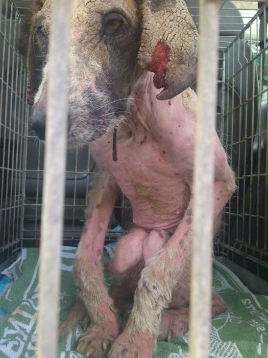 As you can see, her time on the streets took a dangerous toll on her health.