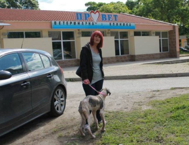 She had to spend a lot of time with the local vet, but she was kind and patient throughout the entire process.