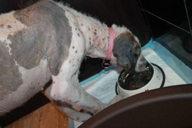 Check out the rest of her transformation!