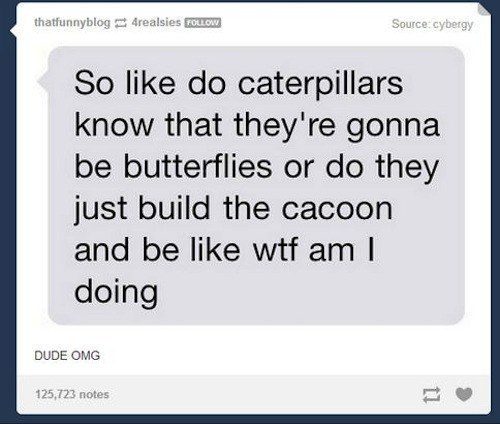 "Just making my death pouch. Nothing to see here."