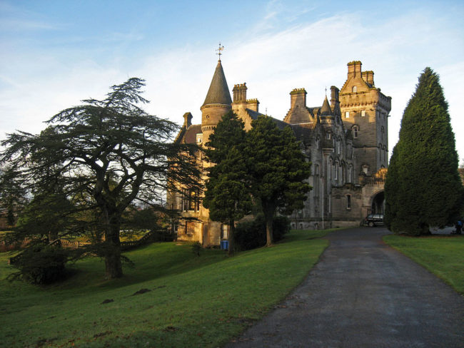 The Dog Suicide Bridge