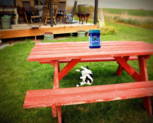 Just as you can deter mosquitoes from your skin with it, placing a tub of VapoRub out in a buggy area will keep the flies at bay.