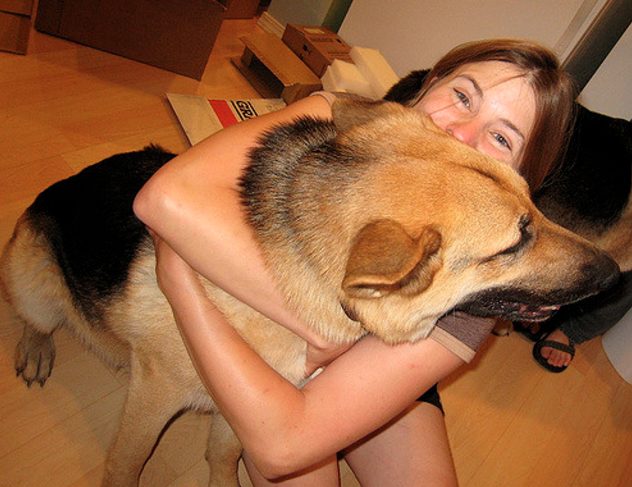 Hugging your dog