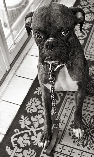 "That's MISTER Samuel L. Barkson to you, sir."