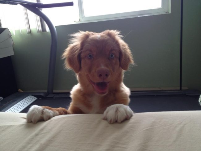 "Hi! I'm Reese. Hi there. Hi!"