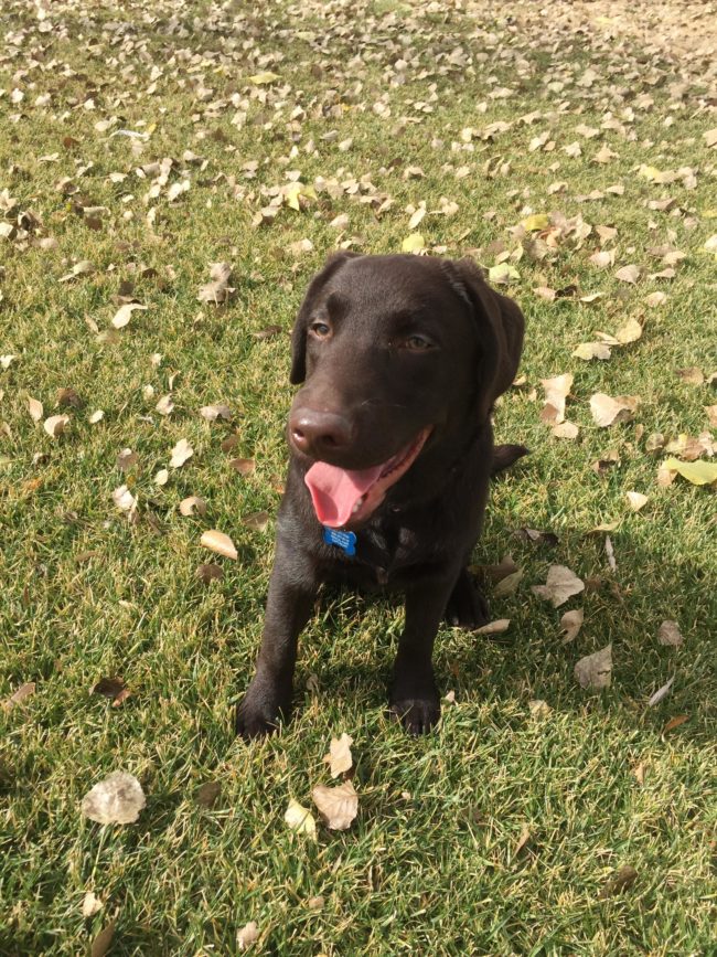 But through every setback, this little guy just bounced right back.