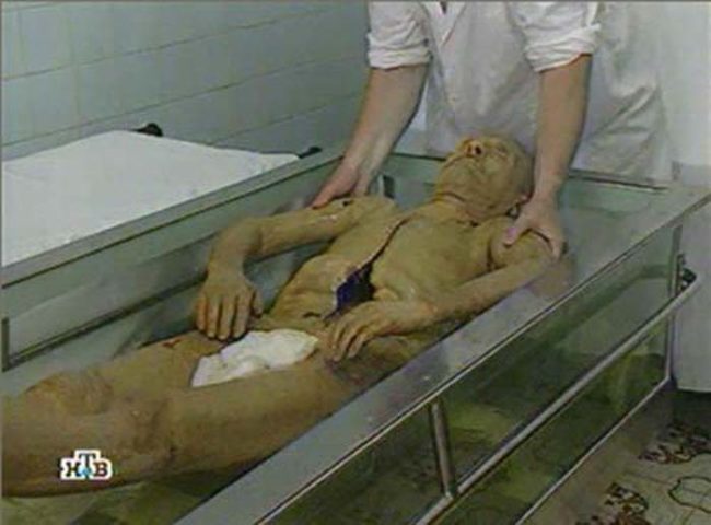 Over the years, the Russian government has used various methods to clean and preserve Lenin's body. Today, an army of specialized personnel maintain the corpse.