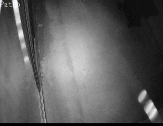 The first time he heard scratching at the cat door at night, he just assumed it was the neighbor's pet. However, when he opened up his security camera app, he saw a weird-looking man kneeling down by the door.