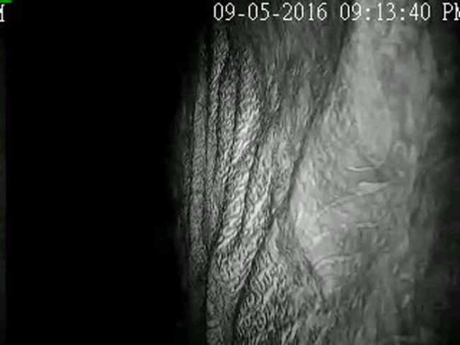 From the looks of it, some paranormal entity seems to be haunting and targeting this unfortunate Redditor.