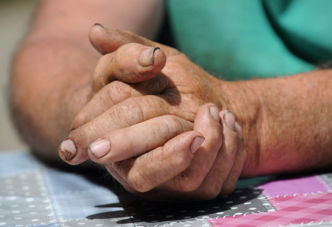 Rubbing your nails with soap prior to gardening can stop dirt from getting trapped underneath.