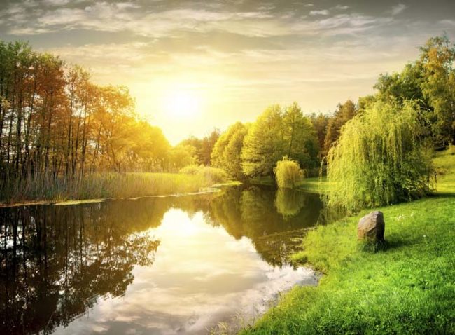 Vexelius thinks they literally came face to face with death. Check this out: