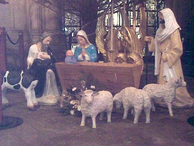 Baby Jesus was born on December 25.