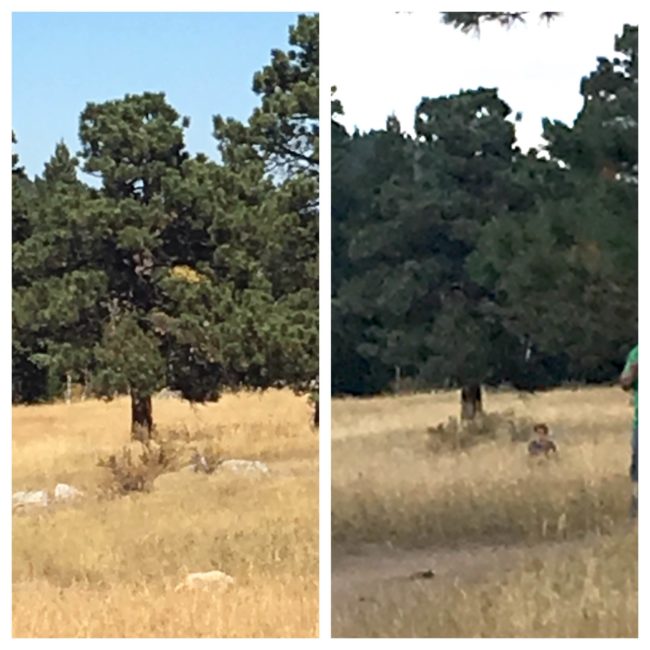 The terrified man even went back to the area and took another photo (pictured on the left) from the same angle, only to see nothing.He just can't explain it.