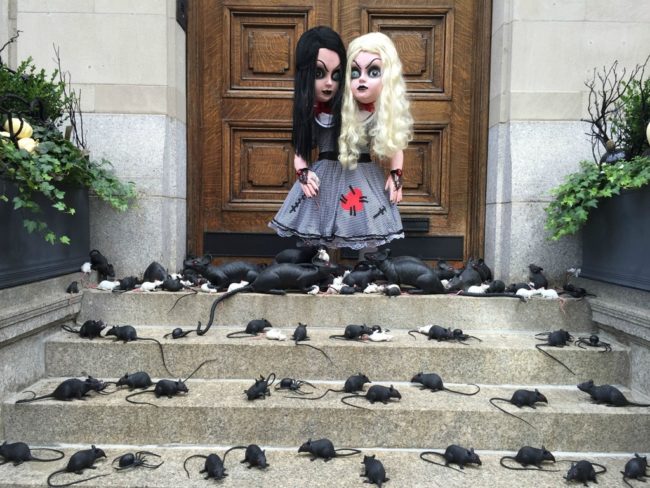 Somebody sure had fun decorating their front steps.