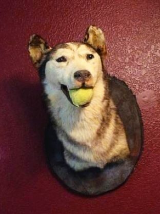 Playing catch long into the afterlife.