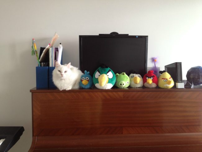 "I is not a cat. I is an Angry Bird." 