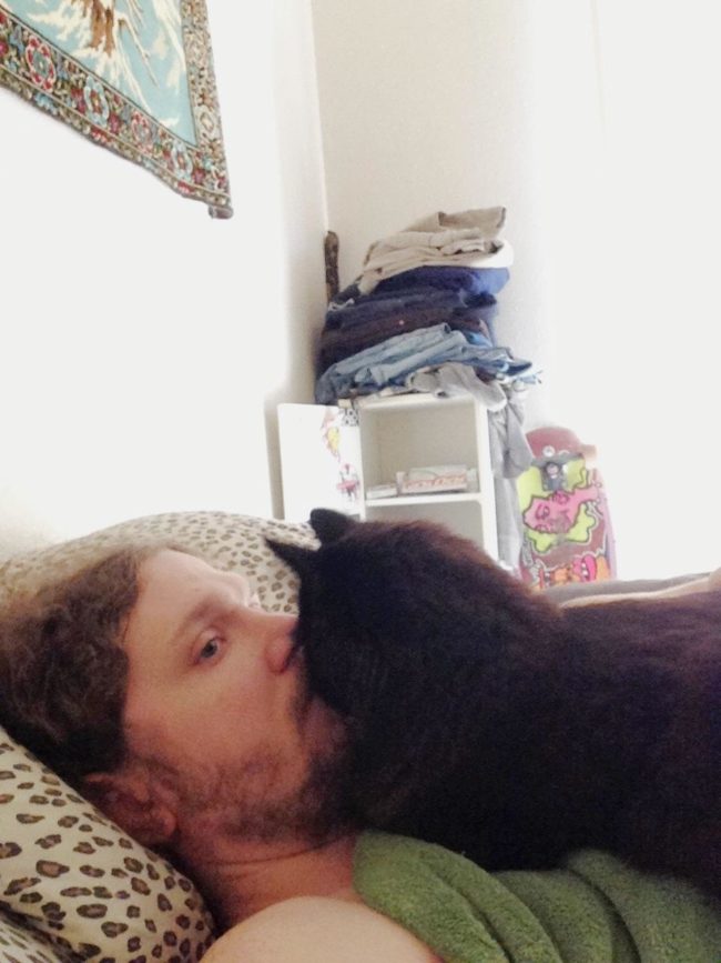 Get a cat, they said. They're no trouble at all, they said. 