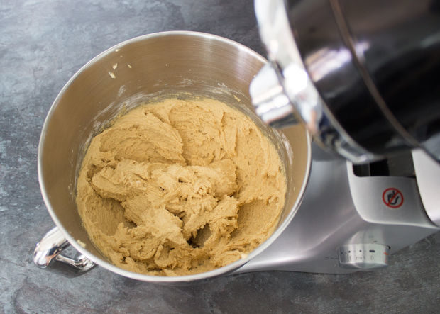 The next step is to mix in the egg and vanilla. Finally, slowly incorporate the flour mixture until you've got your dough.