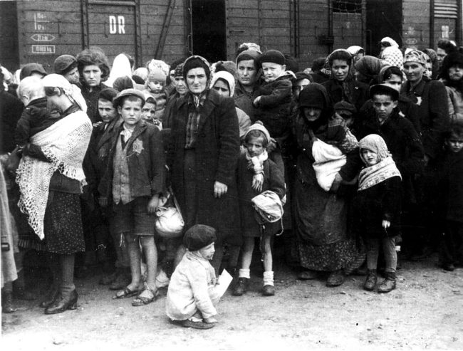Hitler offered to let the United States, Great Britain, and 30 other countries to take in Jewish refugees, but they refused.