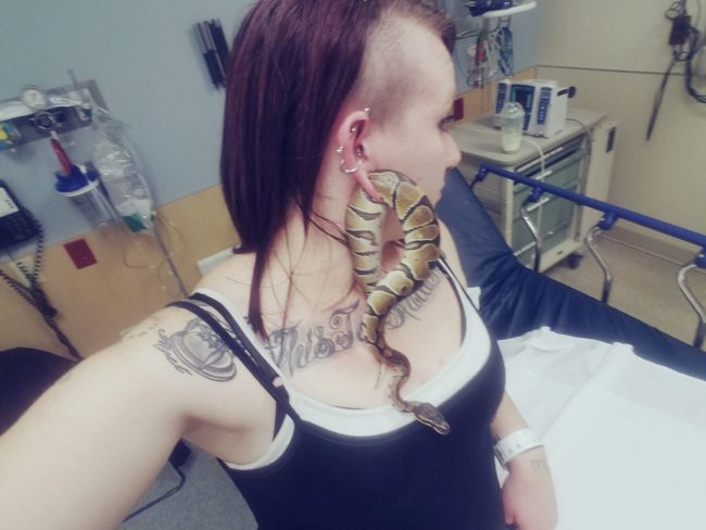 Unable to remove Bart herself, she rushed to the emergency room. While waiting for doctors, she snapped this picture, which was quickly seen by more than 23,000 people. Some accused her of putting Bart in her ear intentionally and abusing him, but the truth of the matter is that the incident was just a freak accident.