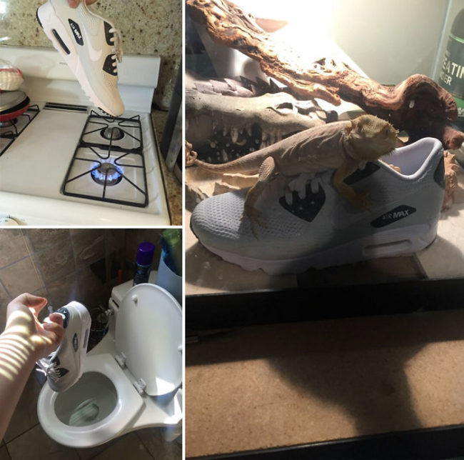 "Ordered new sneakers, asked little brother for pics while I'm at work." - EazyE973