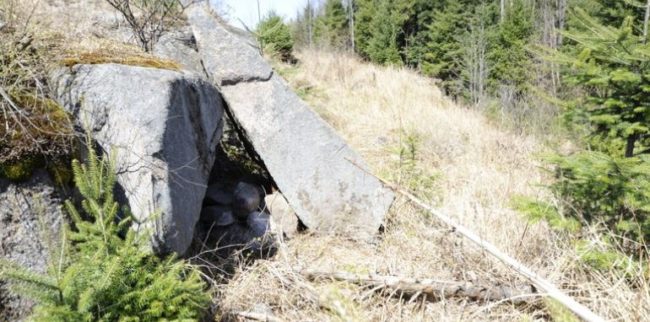 After killing the Curries, he moved most of the items to a new hiding place in Parishville, New York.He left them there until his arrest in 2012.