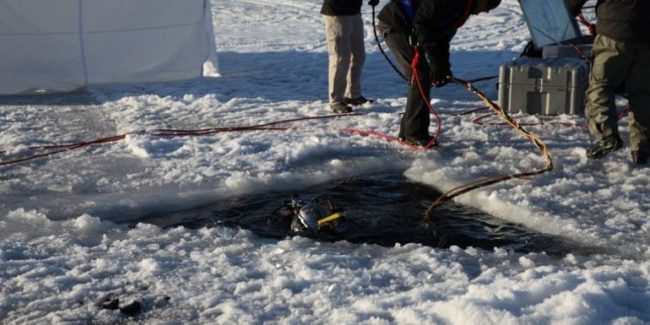 When he got back, he took a photo of her body with a newspaper that made her appear to be alive so he could demand $30,000 in ransom for her release.After receiving the money, he dismembered Koenig's body and dumped it in Matanuska Lake.