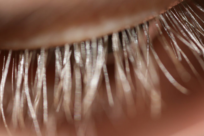 The same properties thatprevent shedding can grow or lengthen eyelashes and eyebrows, too.