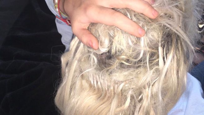 Harbottle believes this is a mischaracterization, noting that after a few fell out the week she had them done, she contacted the salon and was told nothing was wrong. 