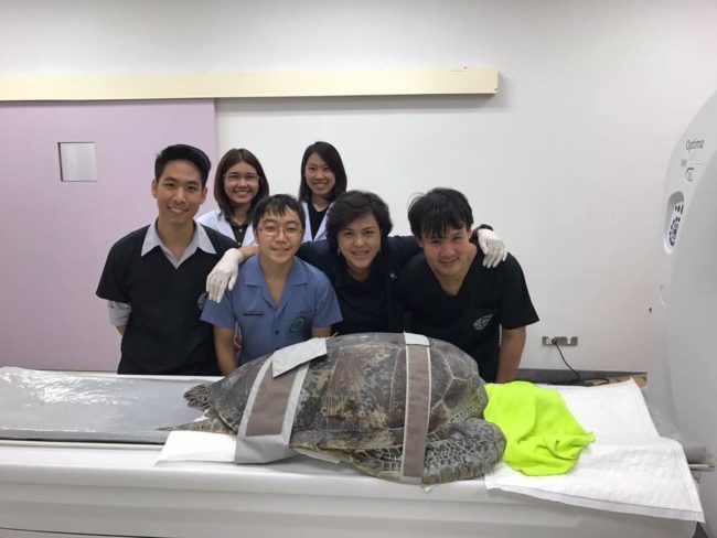 He was brought to Chulalongkorn University by the Royal Thai Naval Air and Coastal Defense Command. They are hoping to begin operating sometime within the next two weeks.