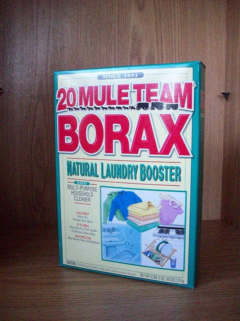 Unfortunately, Borax is not considered a &ldquo;green&rdquo; cleaning ingredient and has been banned by the FDA for its toxicity and potential health risks when used in foods as a natural additive.