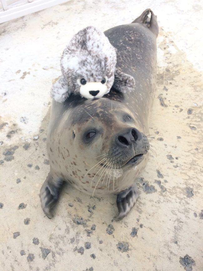 Seriously, how could you not smile after seeing that face?