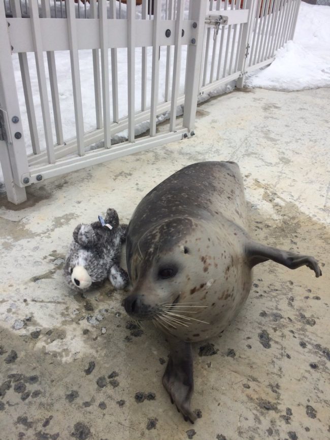 "I'll never leave your side..."