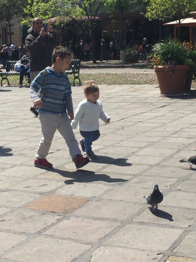 After Daisy&rsquo;s story began circulating around the town, other families began coming forward to reveal that the Austin Children&rsquo;s Dentistry had performed unnecessary work on their children, leading Torres and Squier to believe that their daughter was killed as a result of an elaborate Medicaid scam.