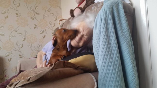 &ldquo;It&rsquo;s the same when my brother brings my 1-year-old nephew over,&rdquo; he added. &ldquo;She plays with him for hours and is fine.&rdquo;