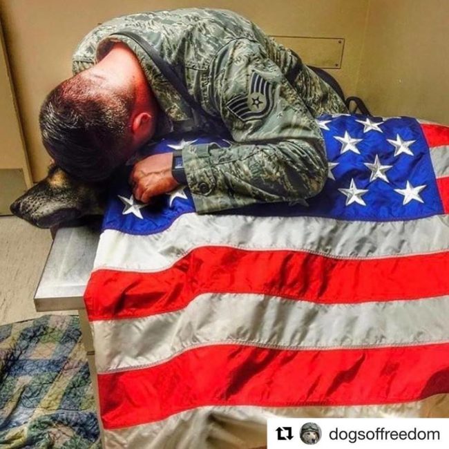 During their final goodbyes, Smith draped an American flag around Bodza to honor his best friend.