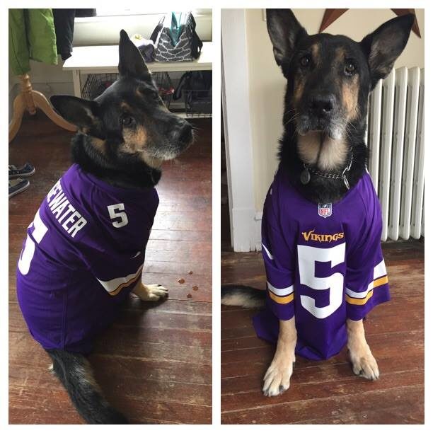 After Bodza turned 11, Smith noticed that he was having trouble getting around and that his legs were getting weaker.That's when a veterinarian diagnosedhim with degenerative myelopathy, an incurable disease that affected his spinal cord.Smith had to make the heartbreaking decision to put him down.