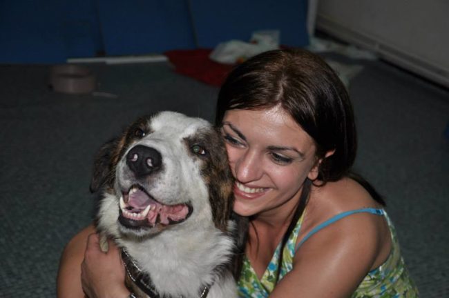 Despite all of that hardship, Zhile is a loving, happy dog. He and his favorite humans fought hard and filled each day with all the joy they could muster during such a hard time.