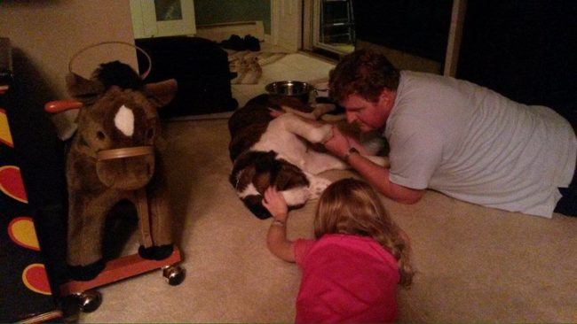 Zhile absolutely loves his life in Pennsylvania. This is the happy pup with his dad and his sister, Morgan.